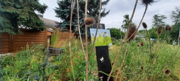 Schild Schmetterlingsinsel