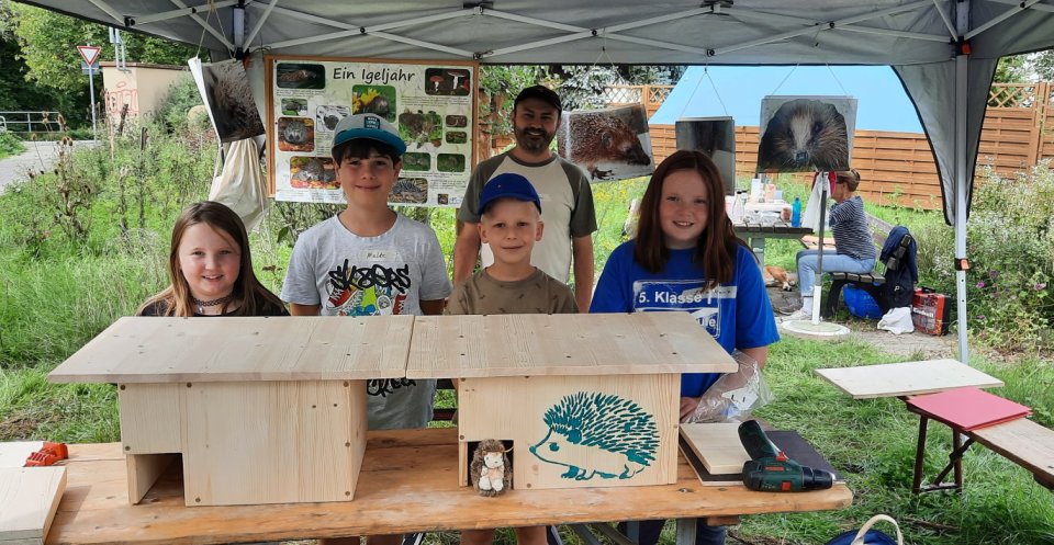 Fertige Igel-Kästen