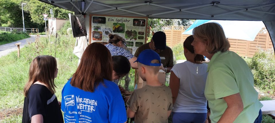 Jede und jeder der wollte, durfte bohren und schrauben.