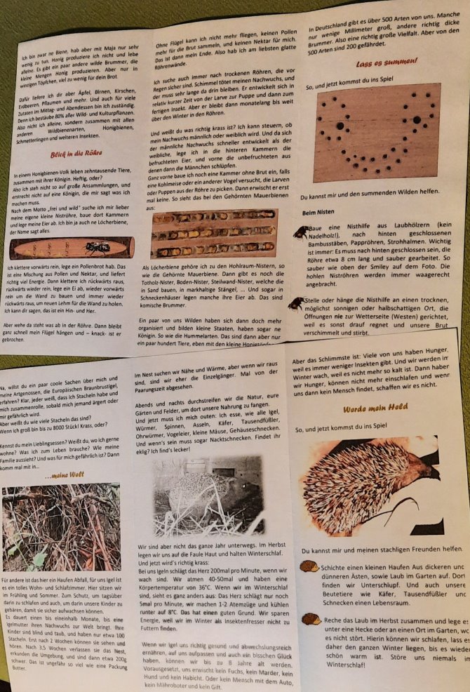 Hier die Rückseite der Flyer