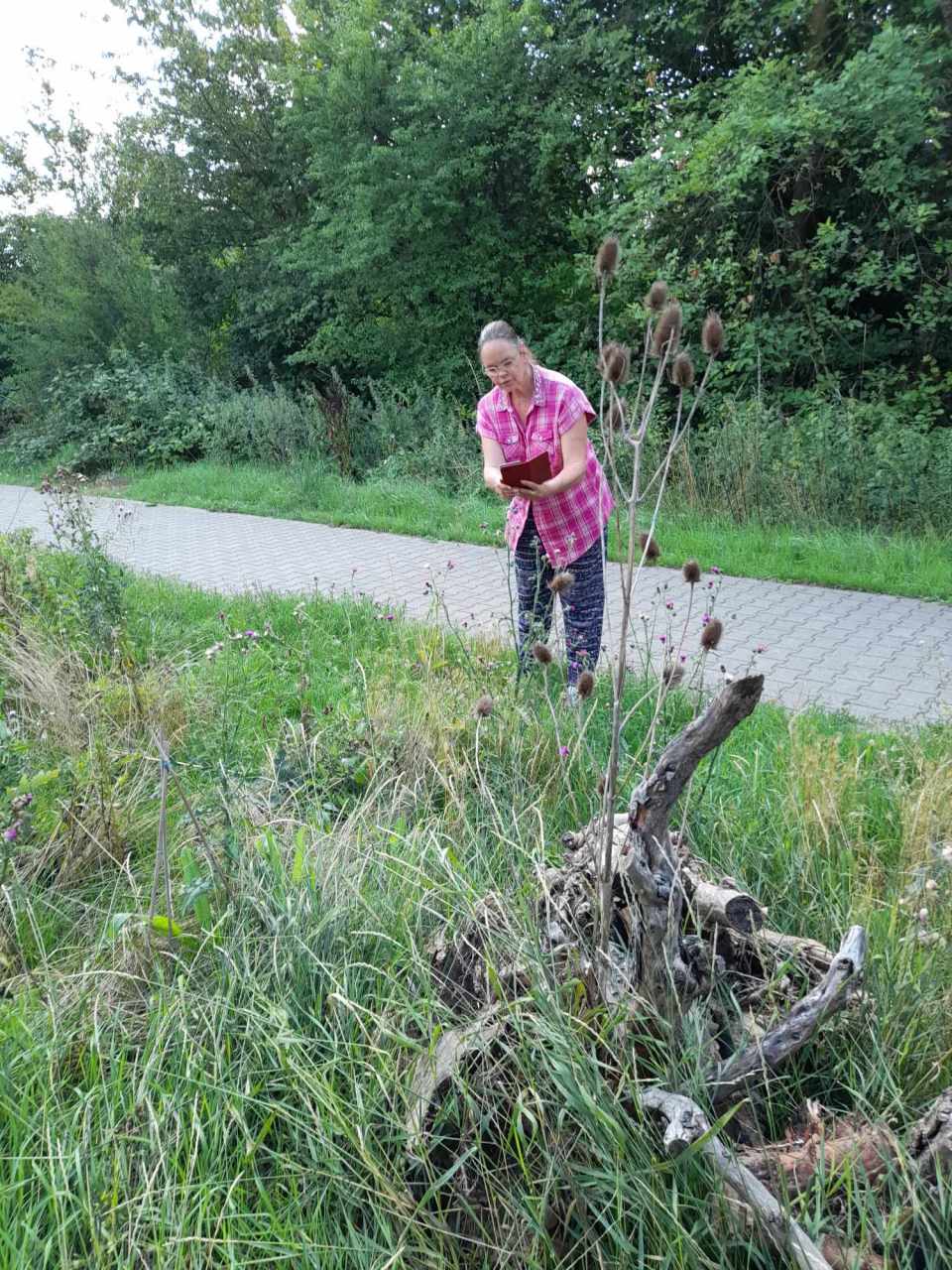 Arten suchen auf der Fläche