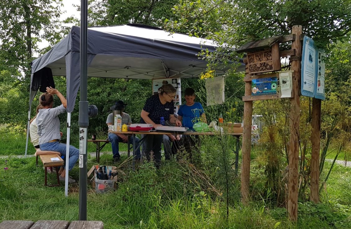 Nisthilfenbau unterm Pavillon