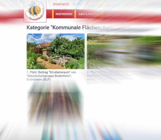 Deutschland summt - Platz 1 für ErLebensraum