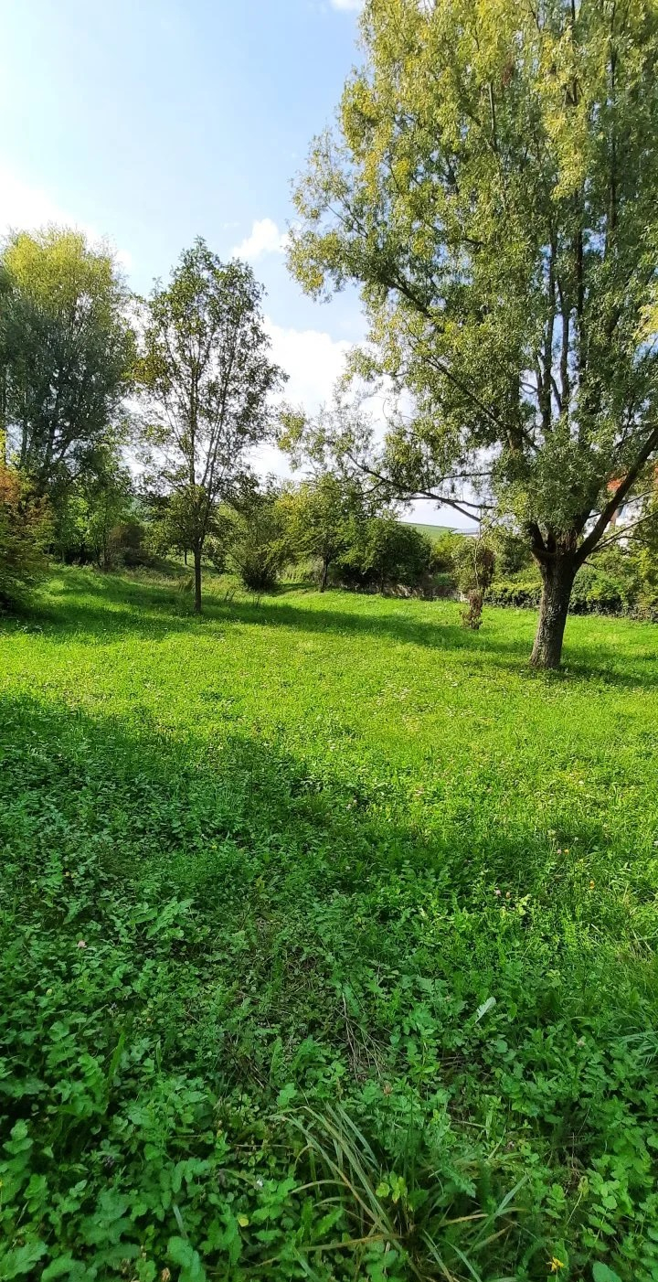 Dollespark Wildwiese September 2023