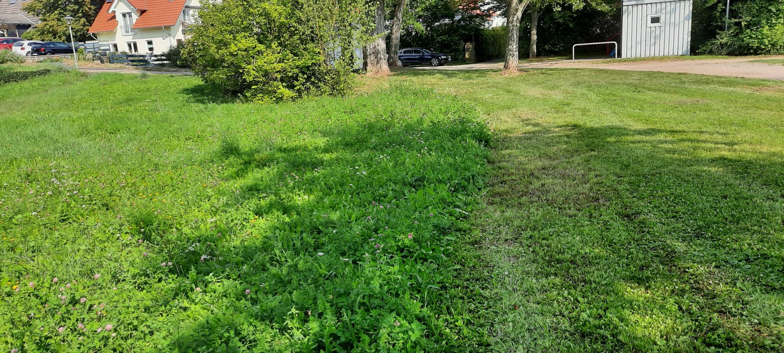 Rechts gemäht, links Wildwiese
