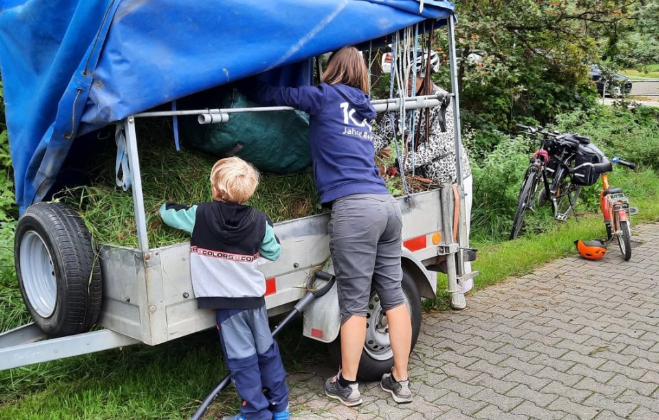 Grünschnitt wird abtransportiert