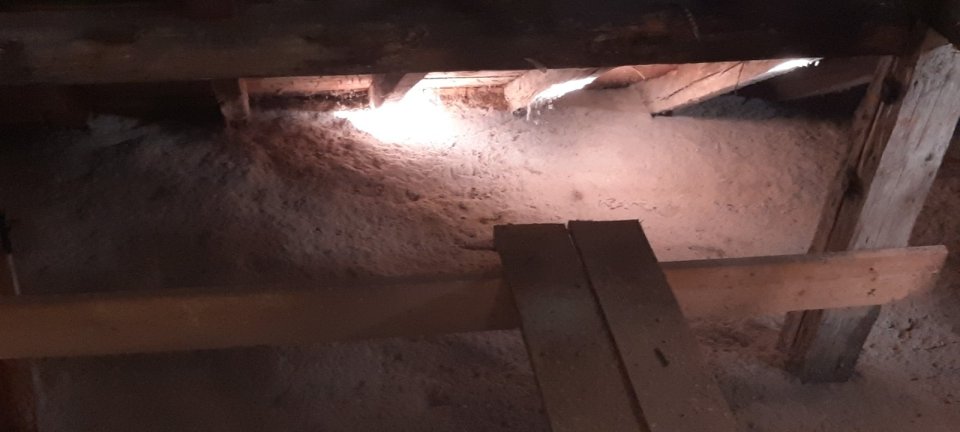 Fledermauskot auf Brettern