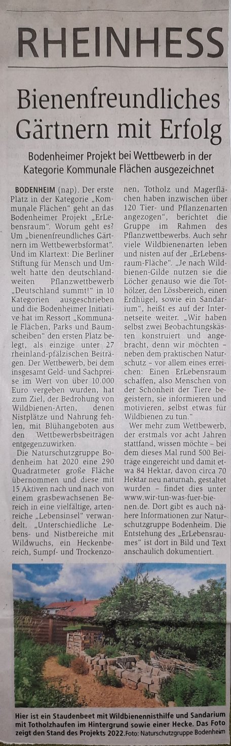Allgemeine Zeitung Mainz