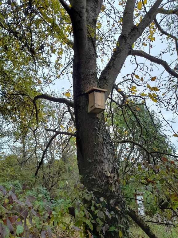 Gartenschläfer-Nistkasten im Traumgarten