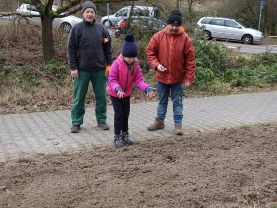 Bei der Aussat der Blühmischung