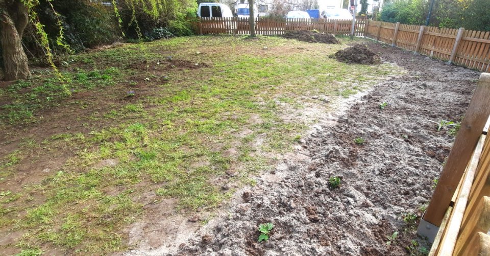 Der fertige Blühstreifen