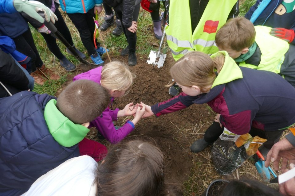 Regenwürmer werden angeschaut