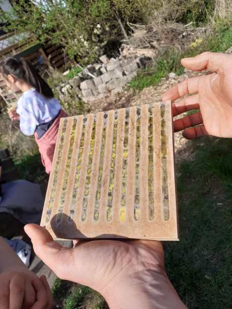 Blick in den "Nist-Schaukasten"