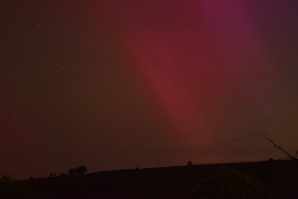 Violettes und Rotes Polarlicht über den Weinbergen