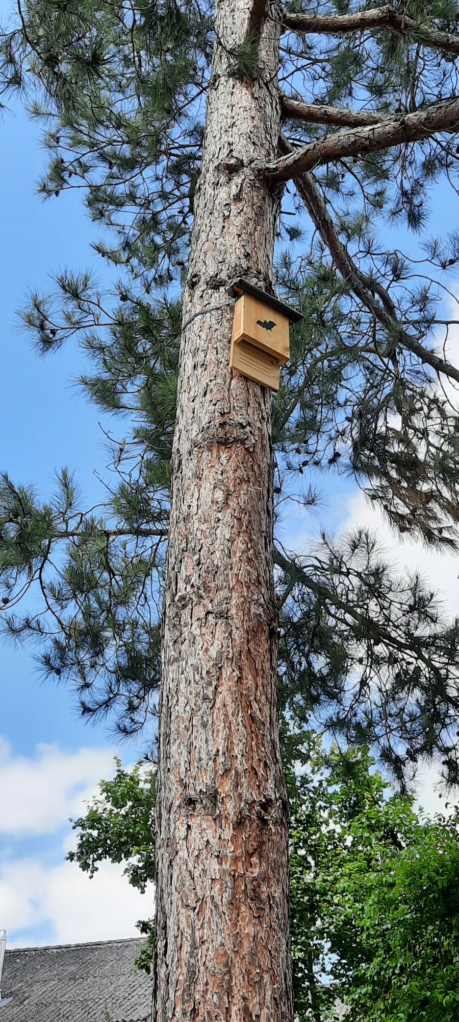 Spaltkasten hängt...