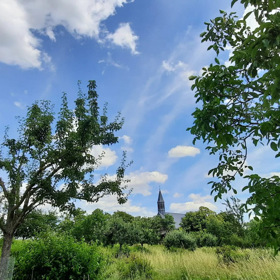 Streuobstwiese mit Kapelle Maria Oberndorf im Hintergrund