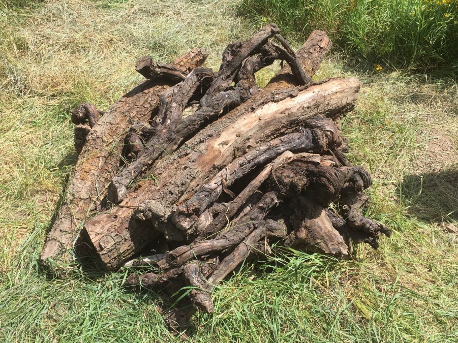 Schließlich wurde der Bereich mit Tothözern nach oben hin abgedeckt
