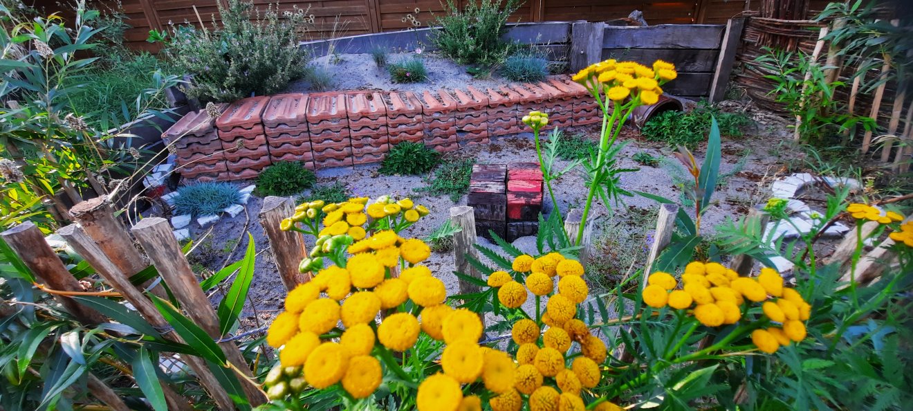 Das Sandbeet im Hintergrund mit einer Reihe von Dachziegeln. Im Vordergrund blüht der Rainfarn.