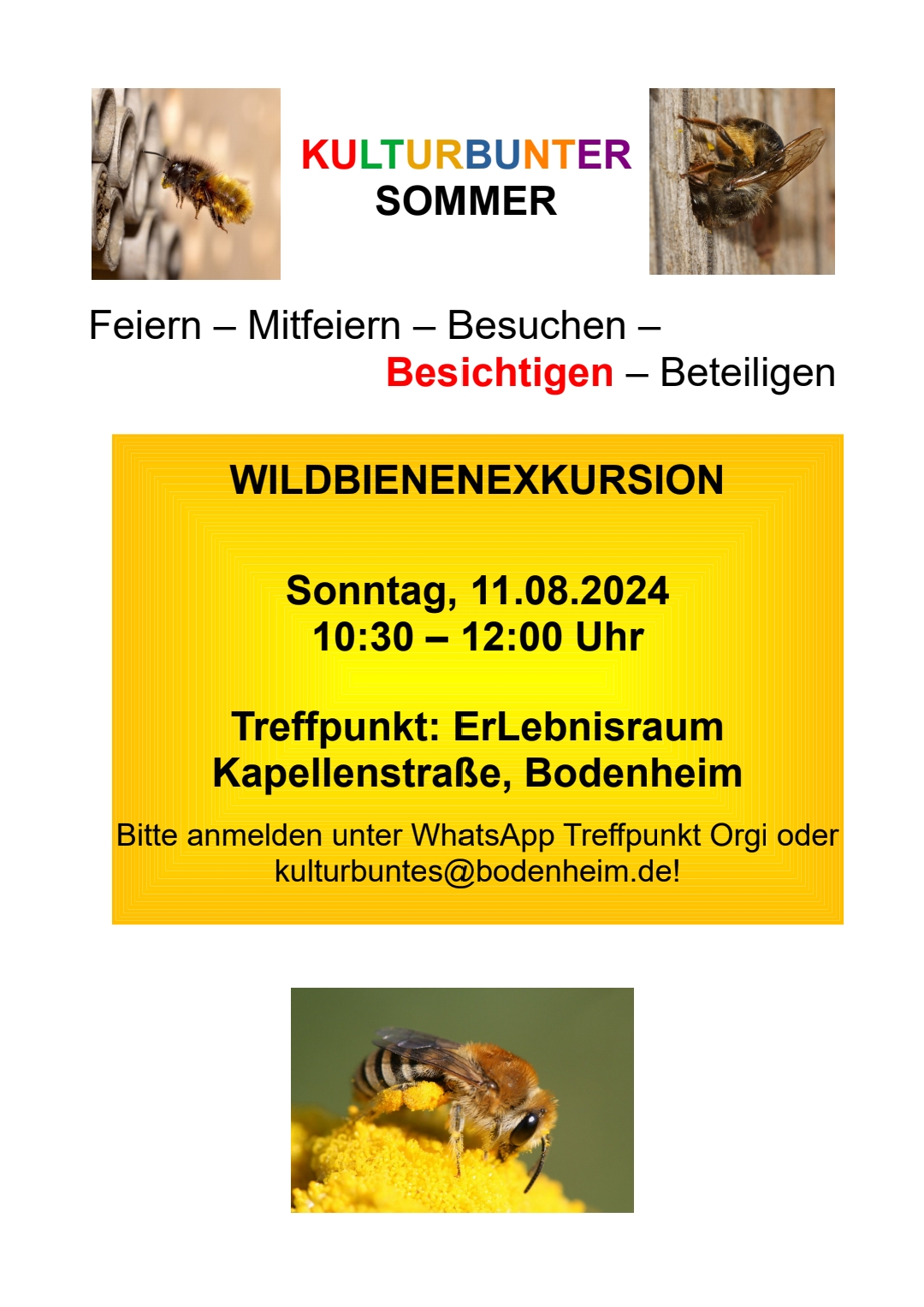Wildbienen-Exkursion