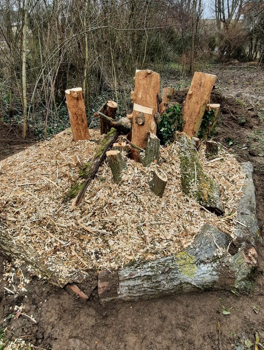 Zu sehen sind senkrechte, dicke Äste, die aus Holzhackschnitzeln ragen.