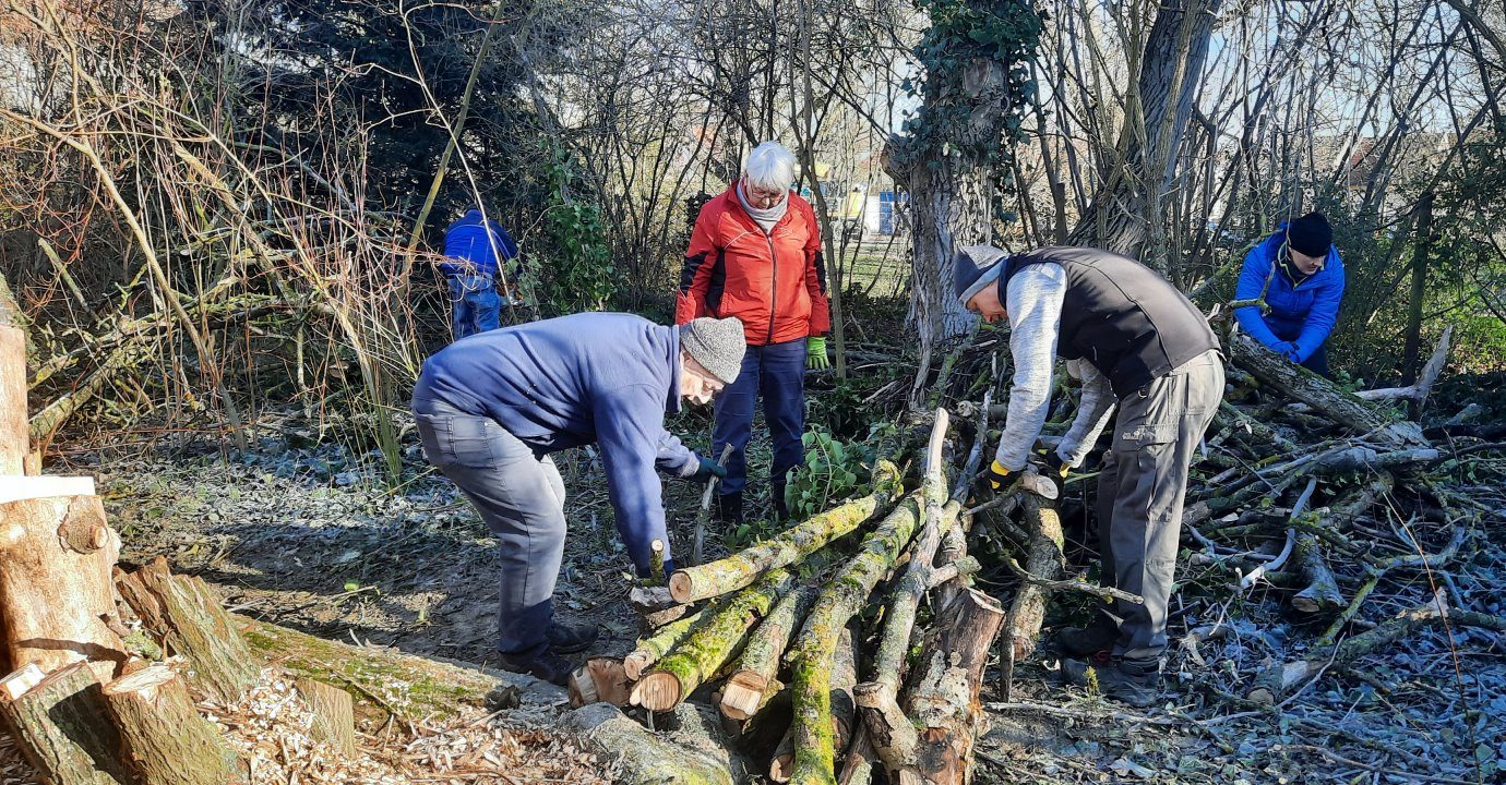 Die Hölzer werden hier ordentlich, aber mit Hohlräumen, aufeinander gesetzt. Man erkennt bereits einen kleinen Wall aus Tothölzern.