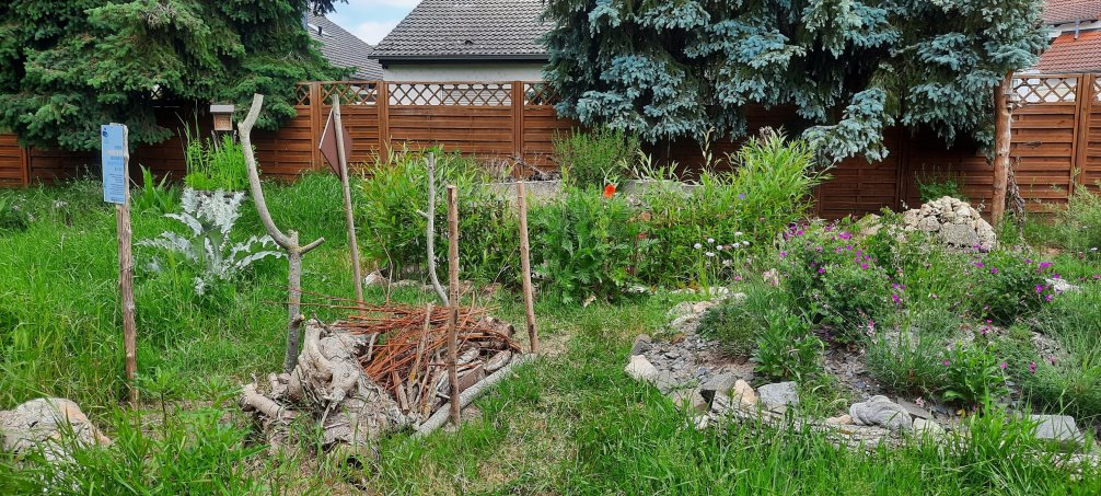 Blick auf Mager- und Sandbeet