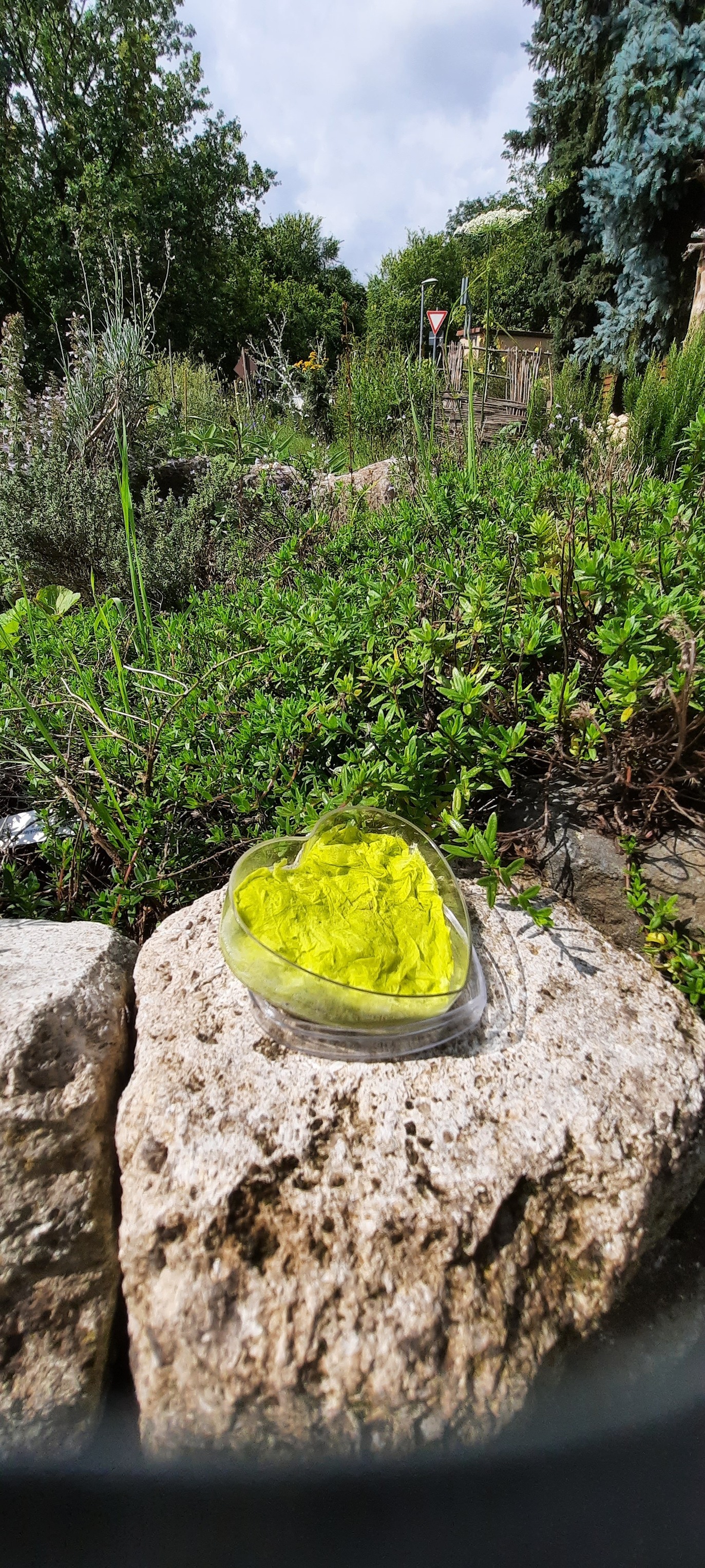 Ein kleines Herz aus Papier ist zu sehen, im Hintergrund eine Kräuterspirale. Es handelt sich dabei um ein selbstgemachtes Saatgut-Herz.