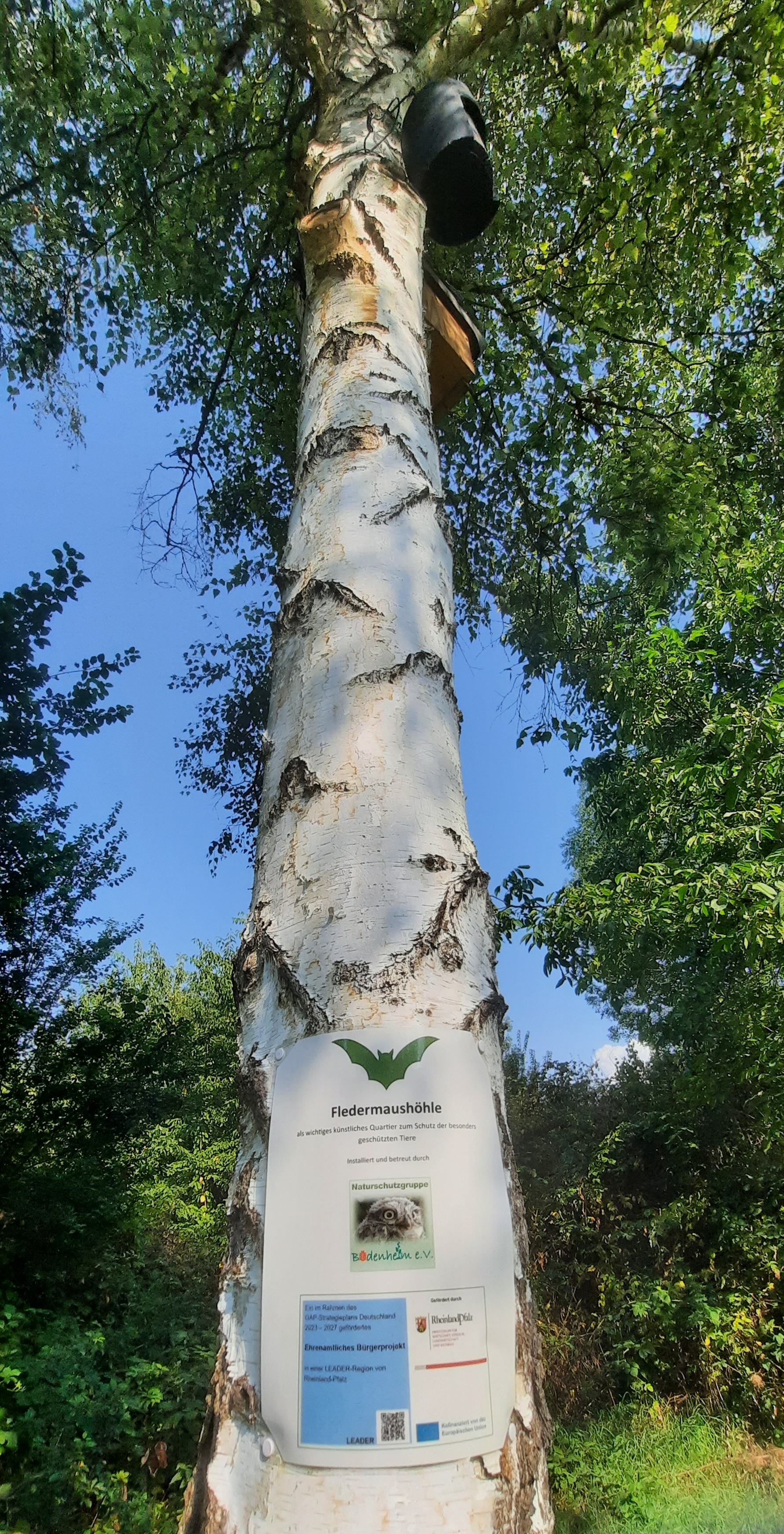 Künstliche Fledermaushöhle