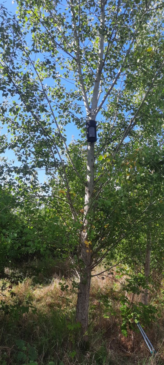 Fledermaushöhle im renatuierten Kapellengraben in Bodenheim