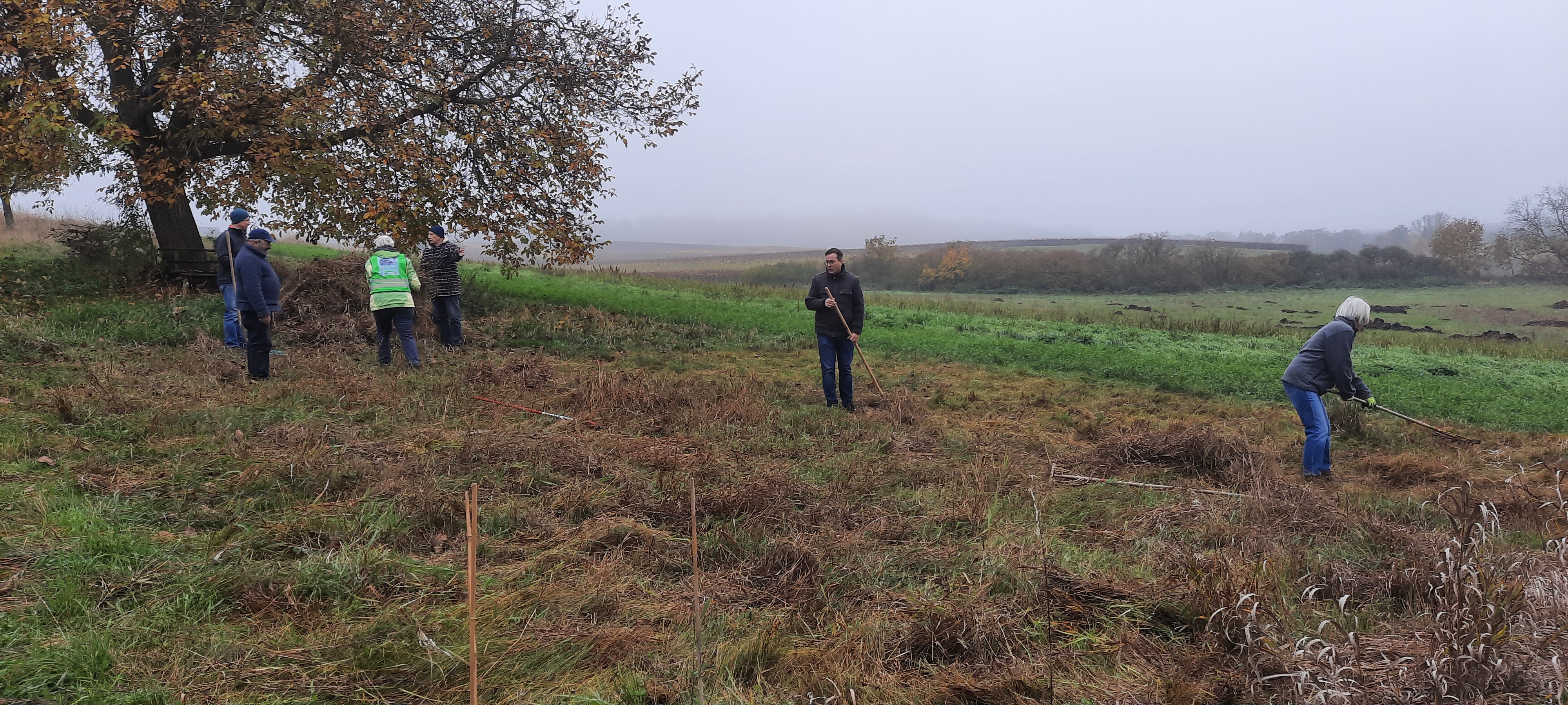 Beim Zusammenrechen des Mahdguts