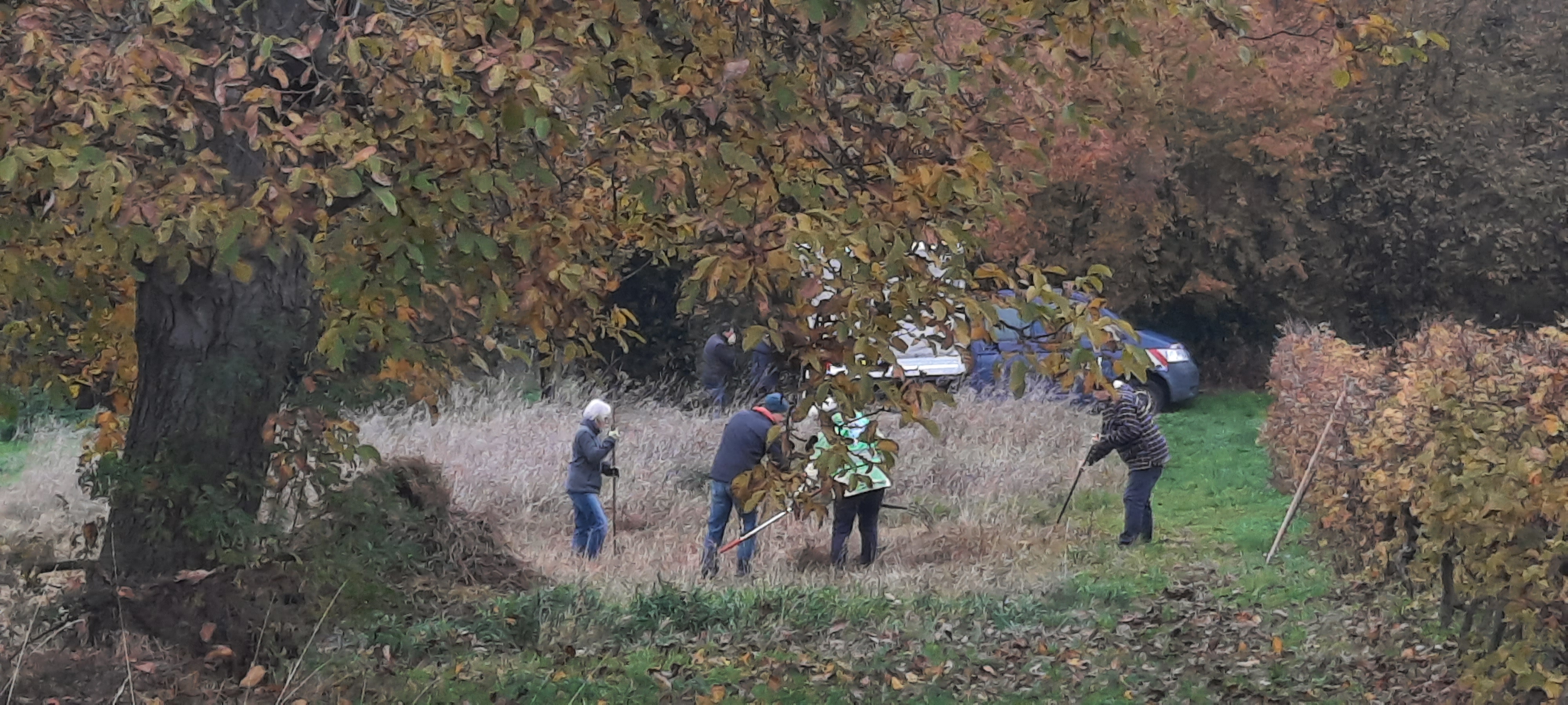 Beim Zusammenrechen des Mahdguts